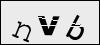 Verify Image